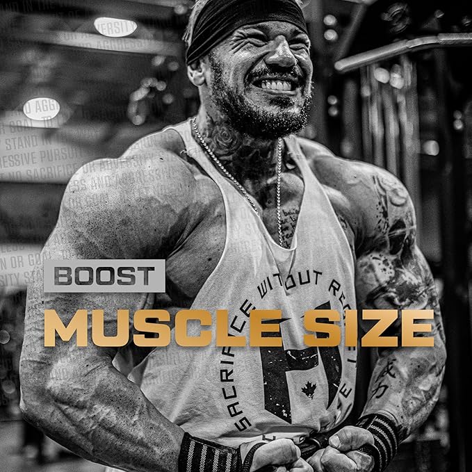 HOSSTILE Creatine, Micronized Creatine Monohydrate Powder for Men & Women, Improve Muscle Size, Strength & Power Output, Post Workout Recovery Drink, Unflavored, 60 Servings