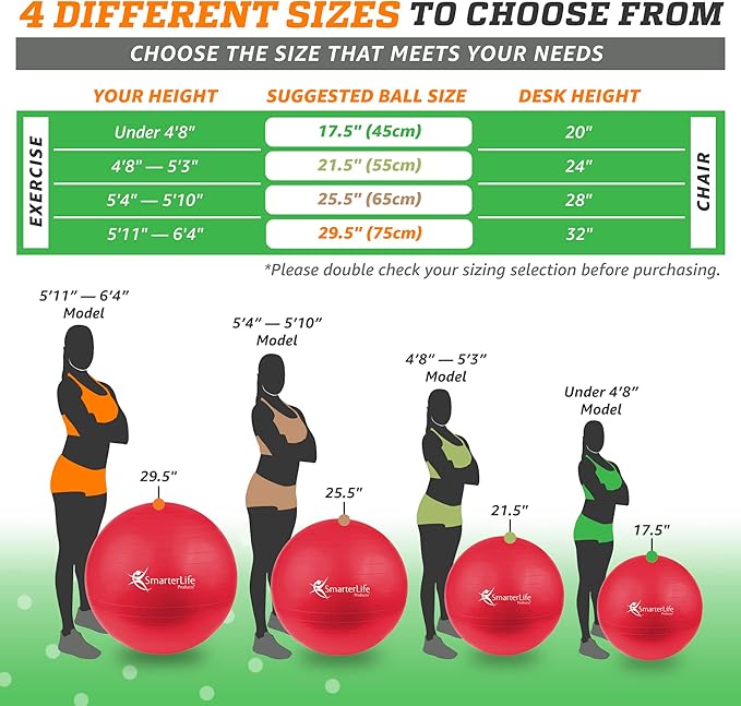 SmarterLife Workout Exercise Ball for Fitness