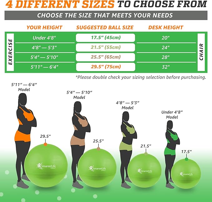 SmarterLife Workout Exercise Ball for Fitness