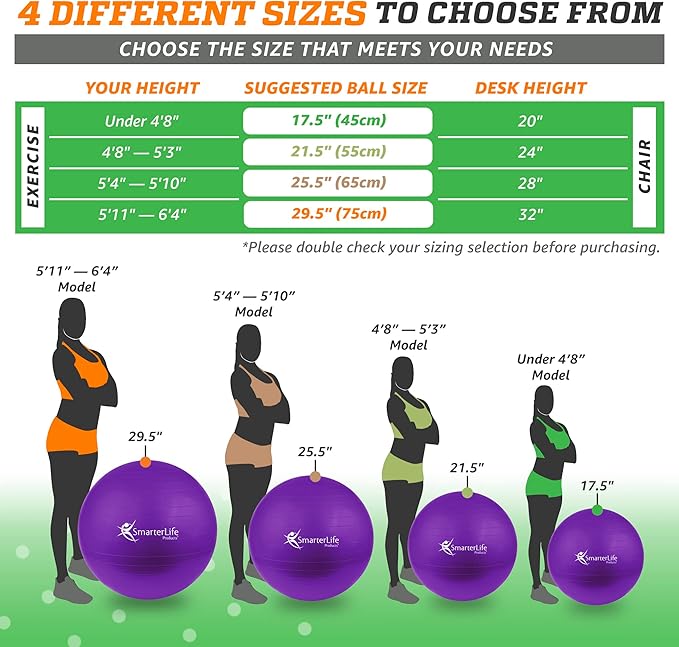 SmarterLife Workout Exercise Ball for Fitness