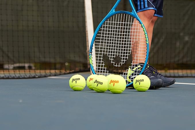 Penn Championship Tennis Balls - Regular Duty Felt