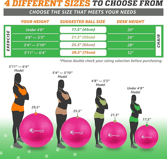 SmarterLife Workout Exercise Ball for Fitness