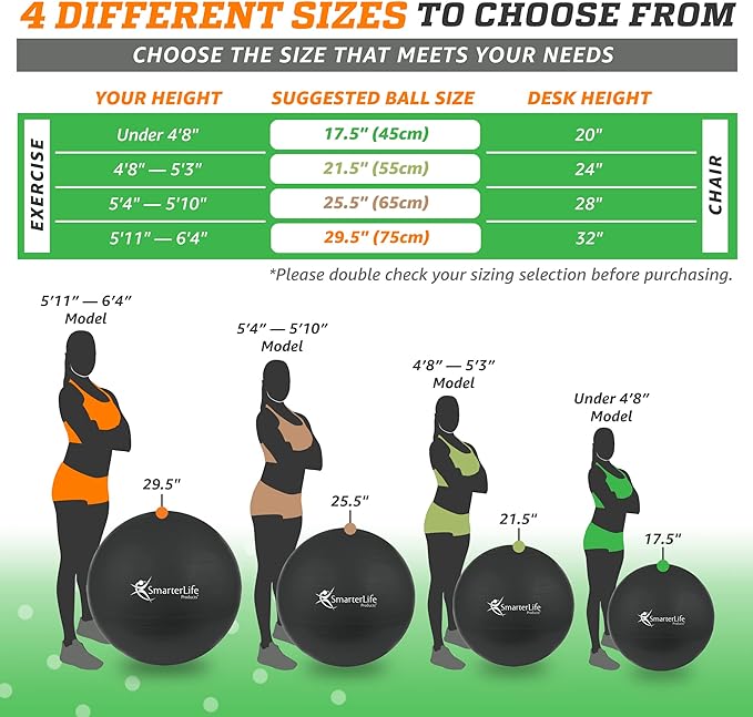 SmarterLife Workout Exercise Ball for Fitness