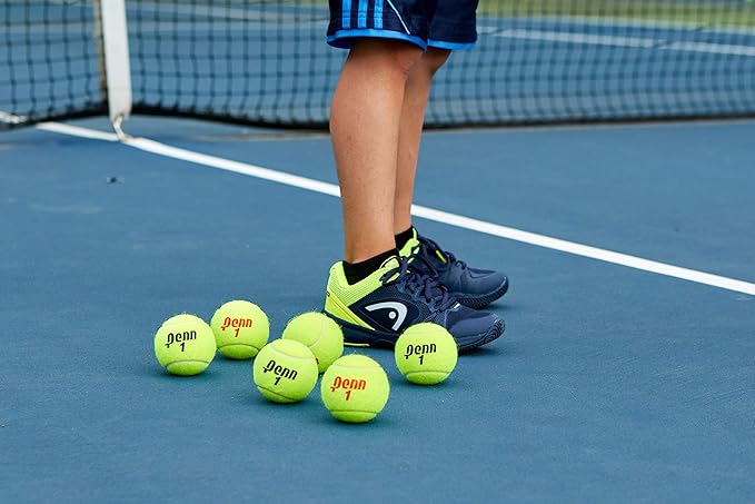 Penn Championship Tennis Balls - Regular Duty Felt
