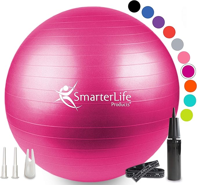 SmarterLife Workout Exercise Ball for Fitness